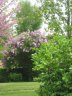 IMG_4216.jpg - 